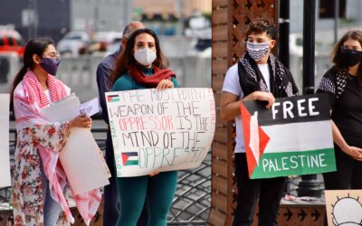 Palestine Conflict: A SRHRJ View